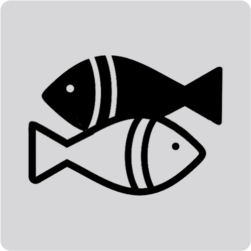 Pescados y Mariscos