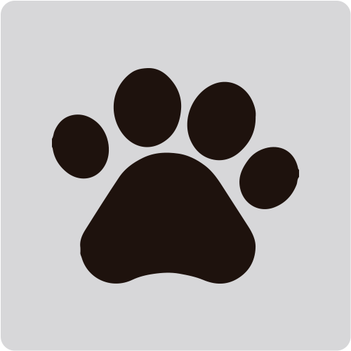 Mascotas